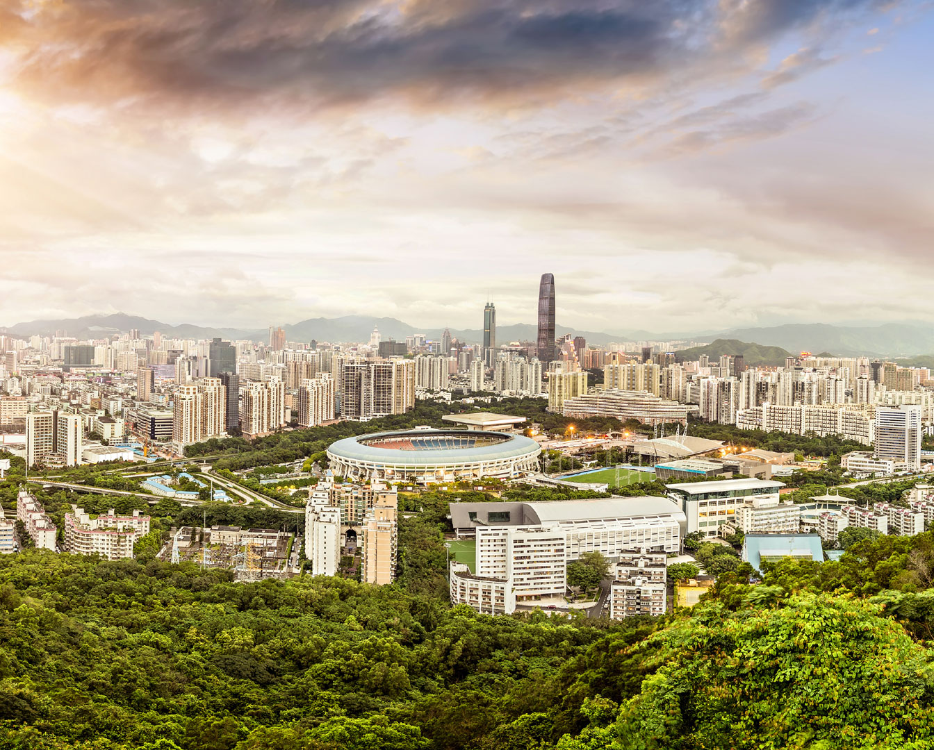 Sindh Economic Zone Authority